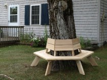cedar tree bench